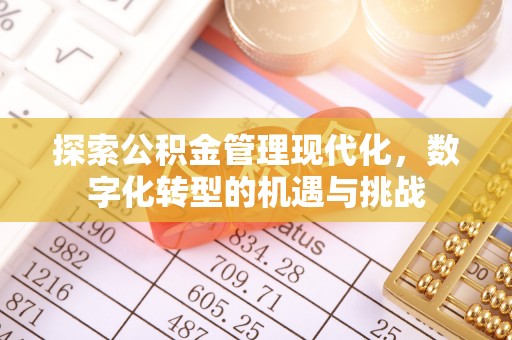 信阳探索公积金管理现代化，数字化转型的机遇与挑战