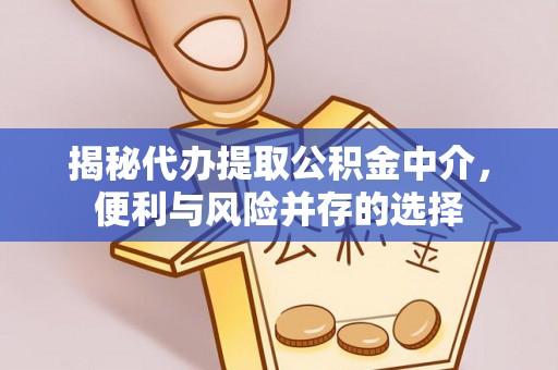 信阳揭秘代办提取公积金中介，便利与风险并存的选择
