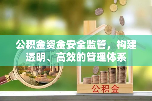 信阳公积金资金安全监管，构建透明、高效的管理体系