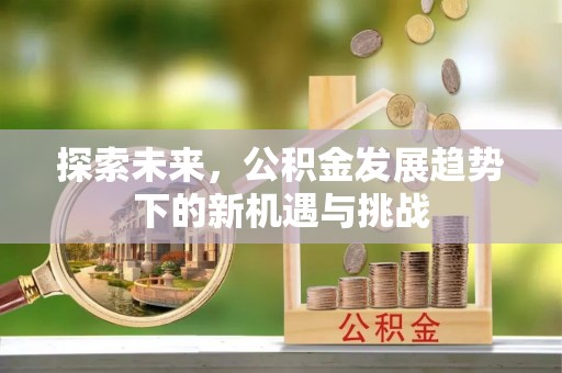 信阳探索未来，公积金发展趋势下的新机遇与挑战