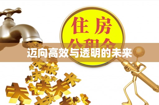 信阳迈向高效与透明的未来