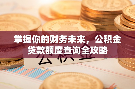 信阳掌握你的财务未来，公积金贷款额度查询全攻略