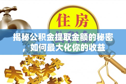 信阳揭秘公积金提取金额的秘密，如何最大化你的收益