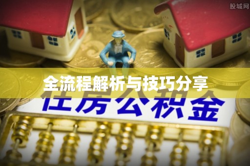 信阳全流程解析与技巧分享